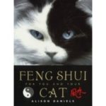 Create A PURRfectly Feng Shui Home!