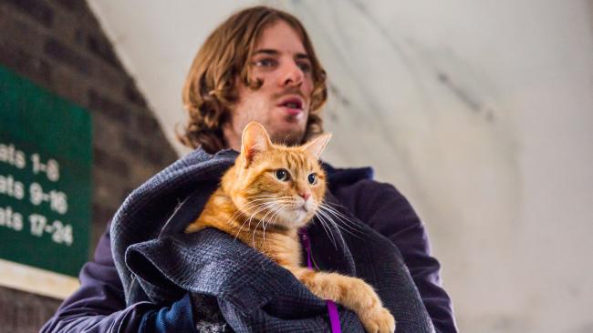 Rising star Luke Treadaway made music on the streets of London with a cat named Bob