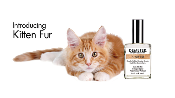 New perfume captures fragrance of kitten fur