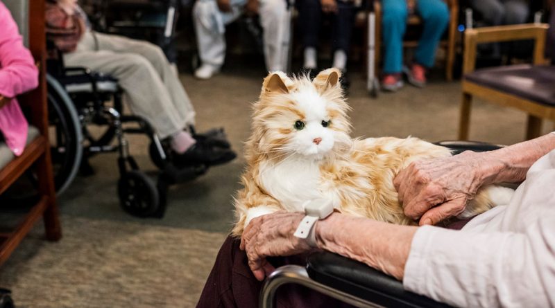 Therapy Cats for Dementia Patients, Batteries Included